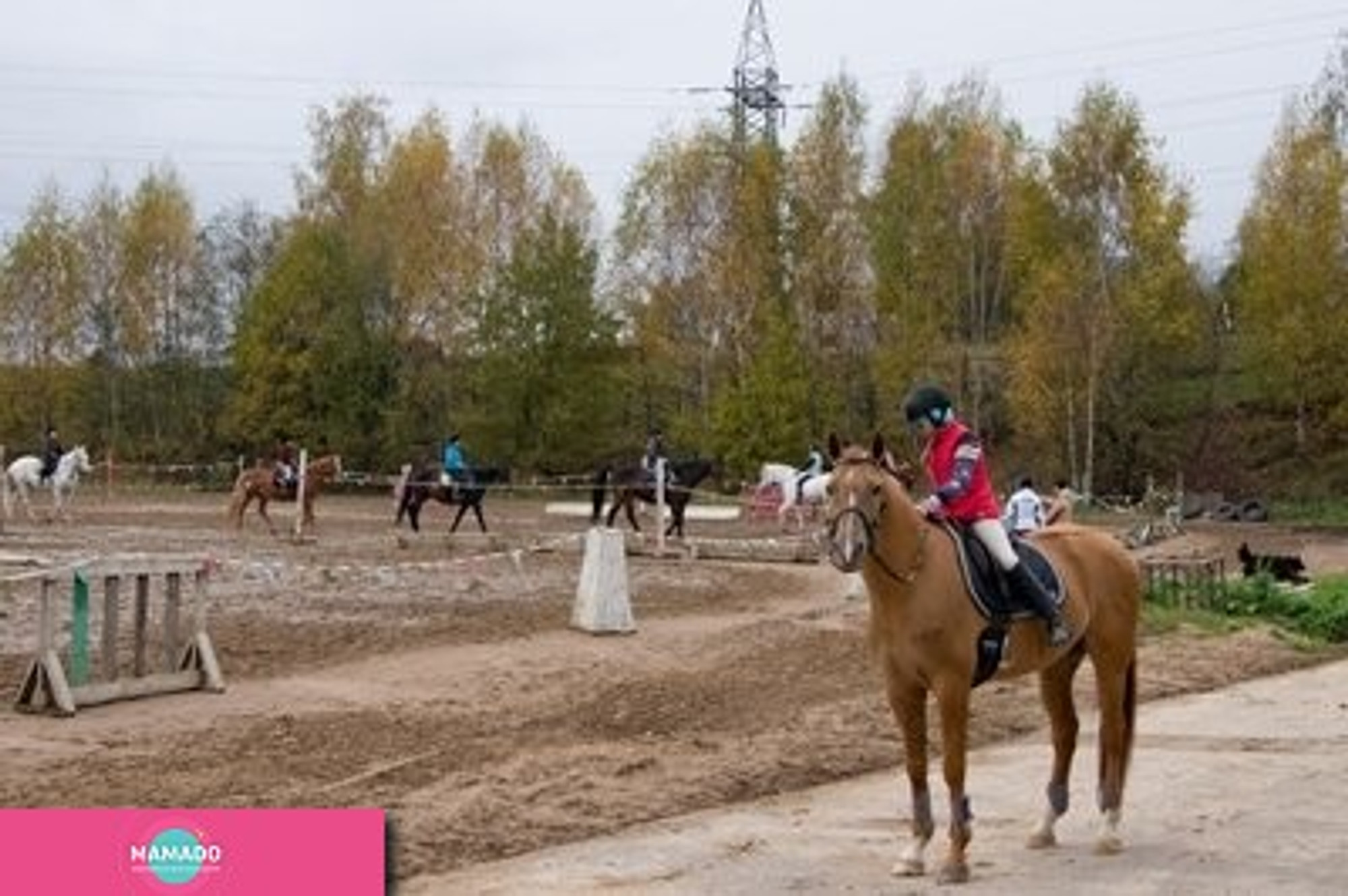 СДЮСШОР по конному спорту и современному пятиборью в Колтушах (д. Токкари)