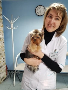 Ваш доктор (Ветеринарная клиника )