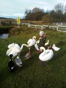 Пони ферма Конек Горбунок (Отдых на ферме)
