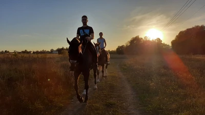 Подарочный сертификат на верховую прогулку в клубе "Excamp"