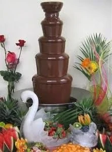 Шоколадный фонтан (Праздничное агентство )
