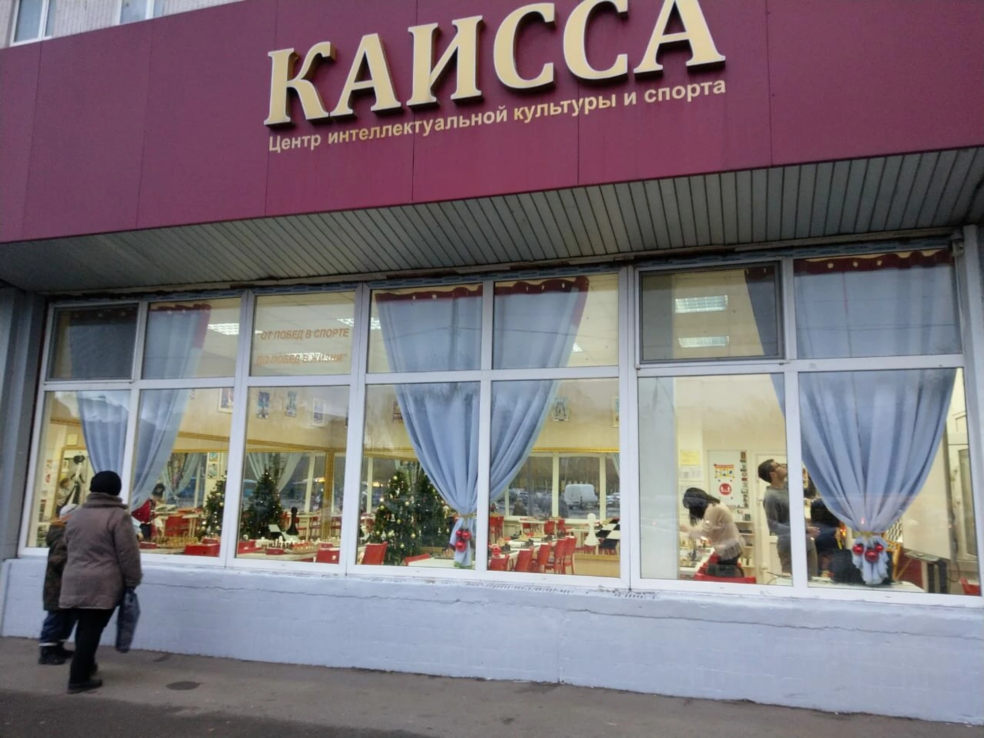 Центр интеллектуальной культуры и спорта (Дополнительное образование )