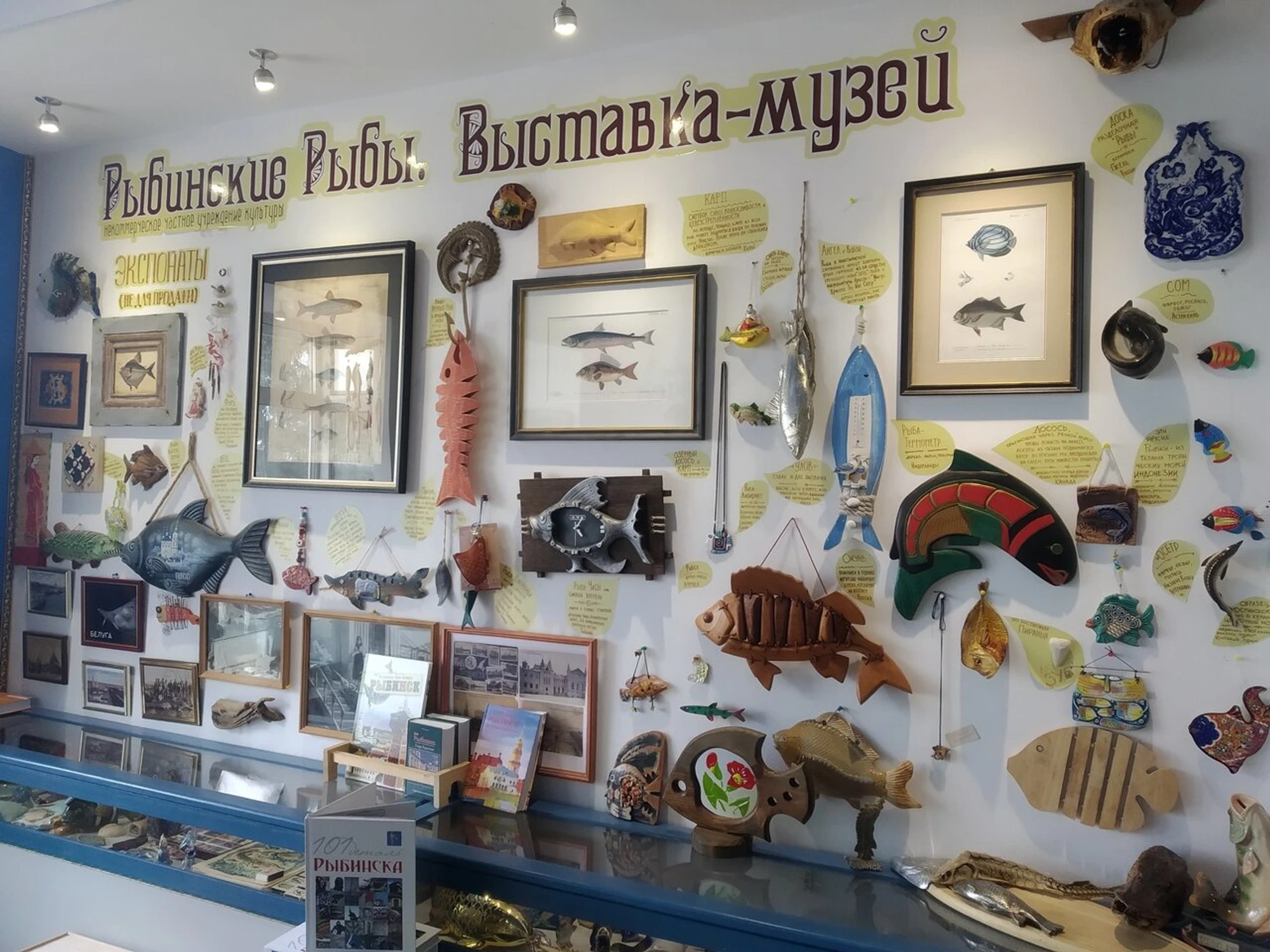 Рыбинские рыбы (Музей )