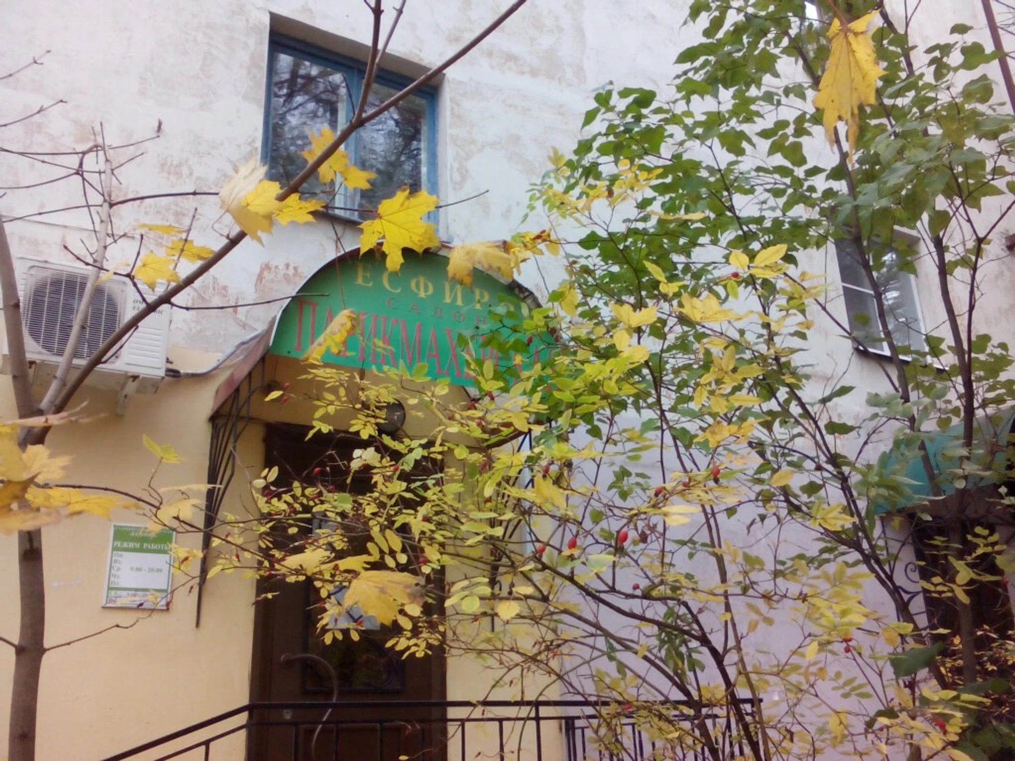 Есфирь (Салон красоты )