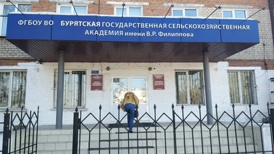 Агротехнический колледж (Колледж)