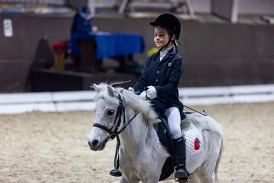 Индивидуальная тренировка на пони и лошади в конном театре "Ника"
