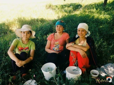 Шашлычный дворик (Кафе)