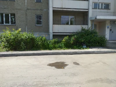 Инфант (Детский сад )