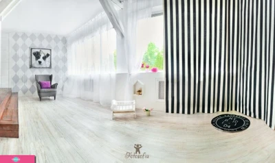 "Фотософия", интерьерная фотостудия, детские фотосессии в СПб 