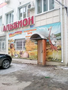Мадагаскар (Логопеды )