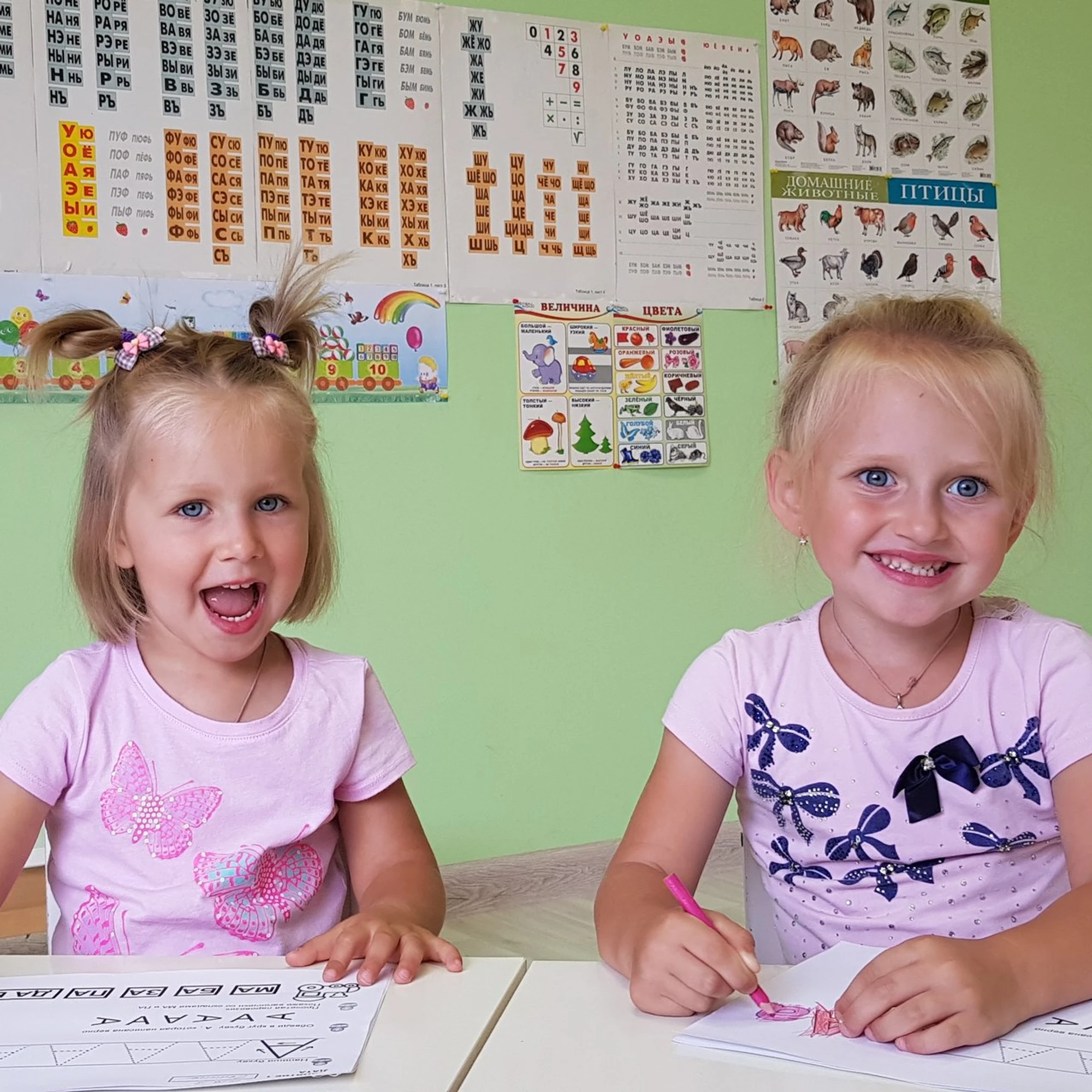 Образовательный центр Matreshka School (Центр развития ребёнка )