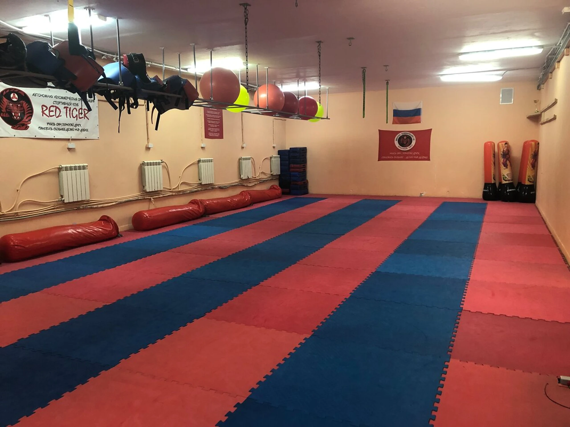 Красный Тигр (Спортивный клуб, секция )