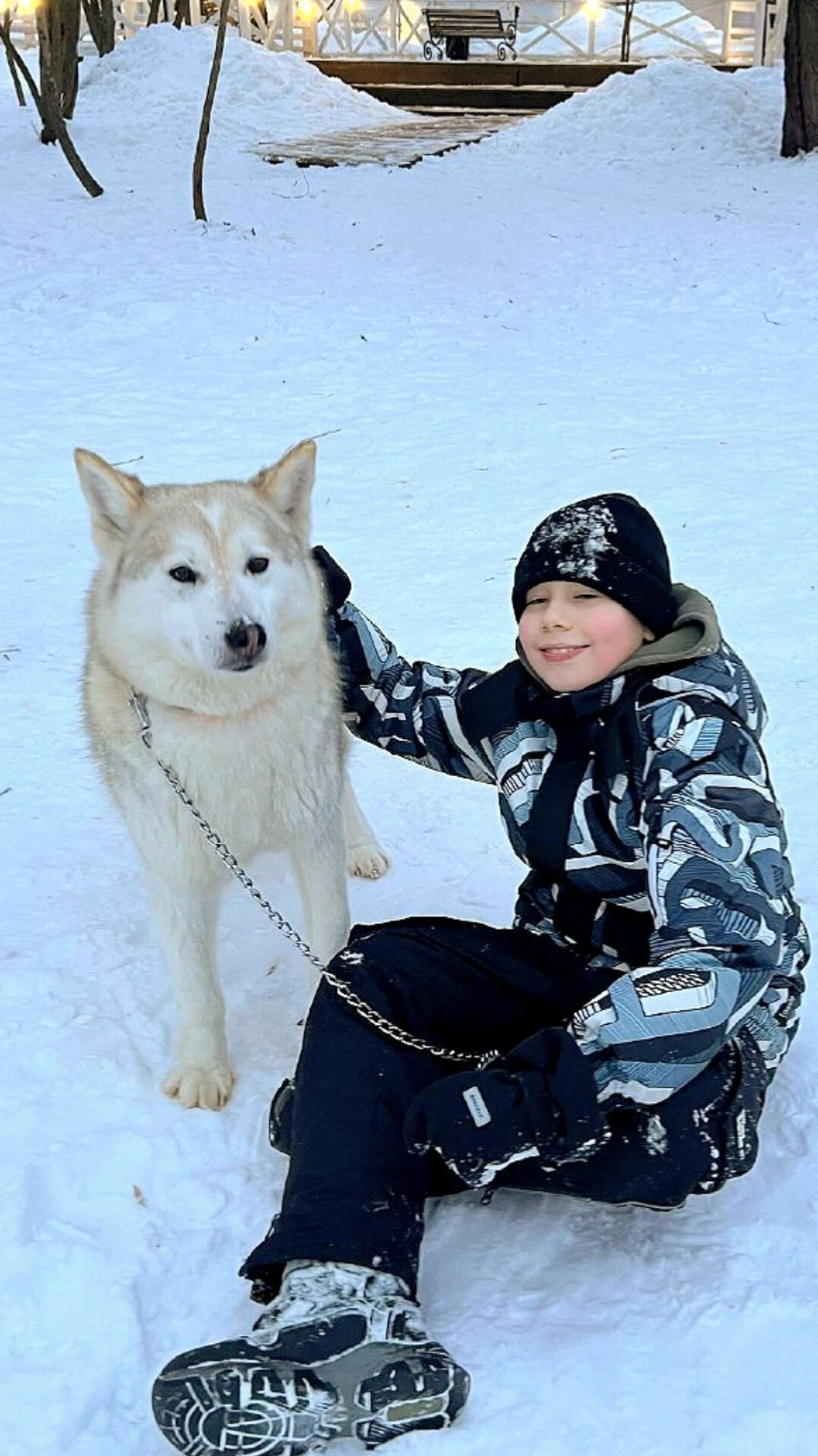 Сертификат на посещение парка "Хаски Лэнд" в Назарьево