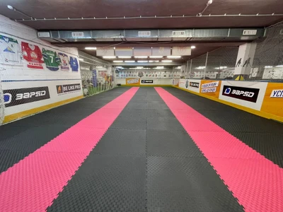 Каратэ Wkf (Спортивный клуб, секция)