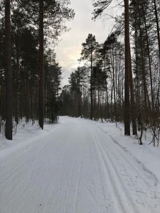 Лыжная база (Лыжная база)