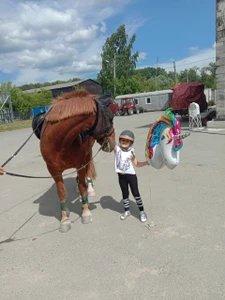 Рейд (Конный клуб )