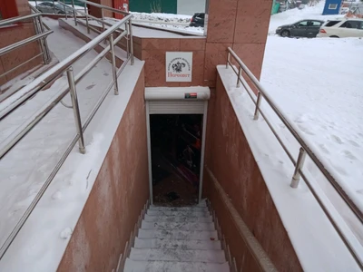 Пересвет (Спортивный клуб, секция)