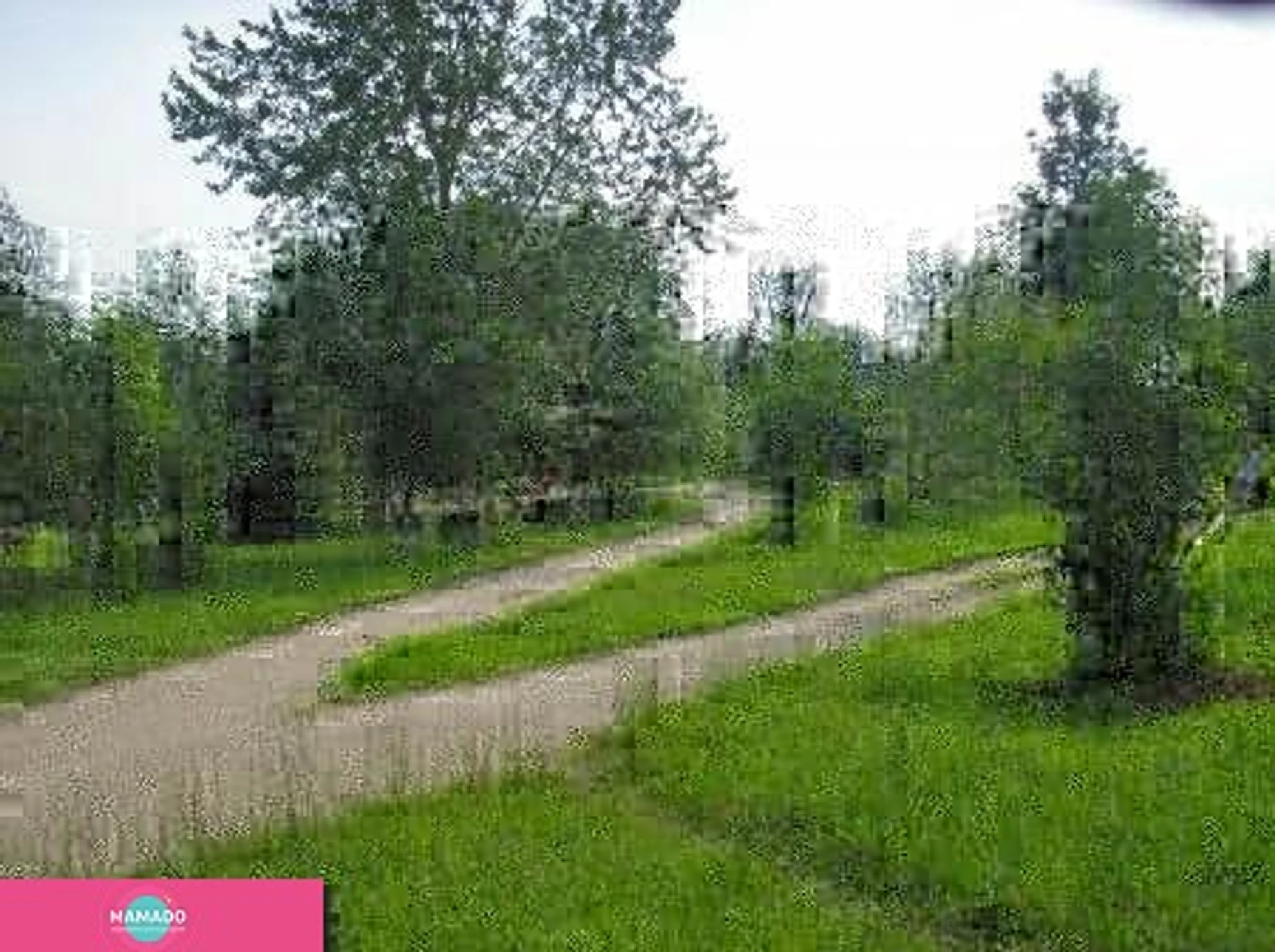 Сосновка, лесопарк (Сосновский лесопарк)