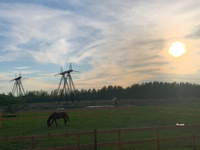 Ховрино (Конный клуб)