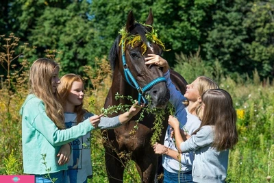 "Пассаж", конноспортивный комплекс, обучение верховой езде детей и взрослых в Нижнем Новгороде 