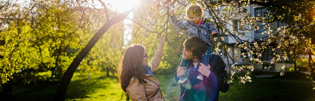 Майские праздники в Санкт-Петербурге: где отдохнуть и как отметить