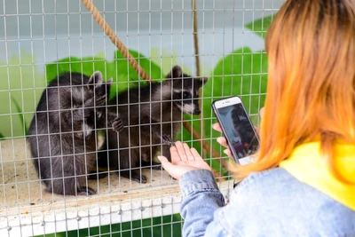 Парк живой природы Арапарк (Зоопарк)