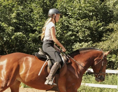 Конный клуб Эквитерра (Конный клуб)