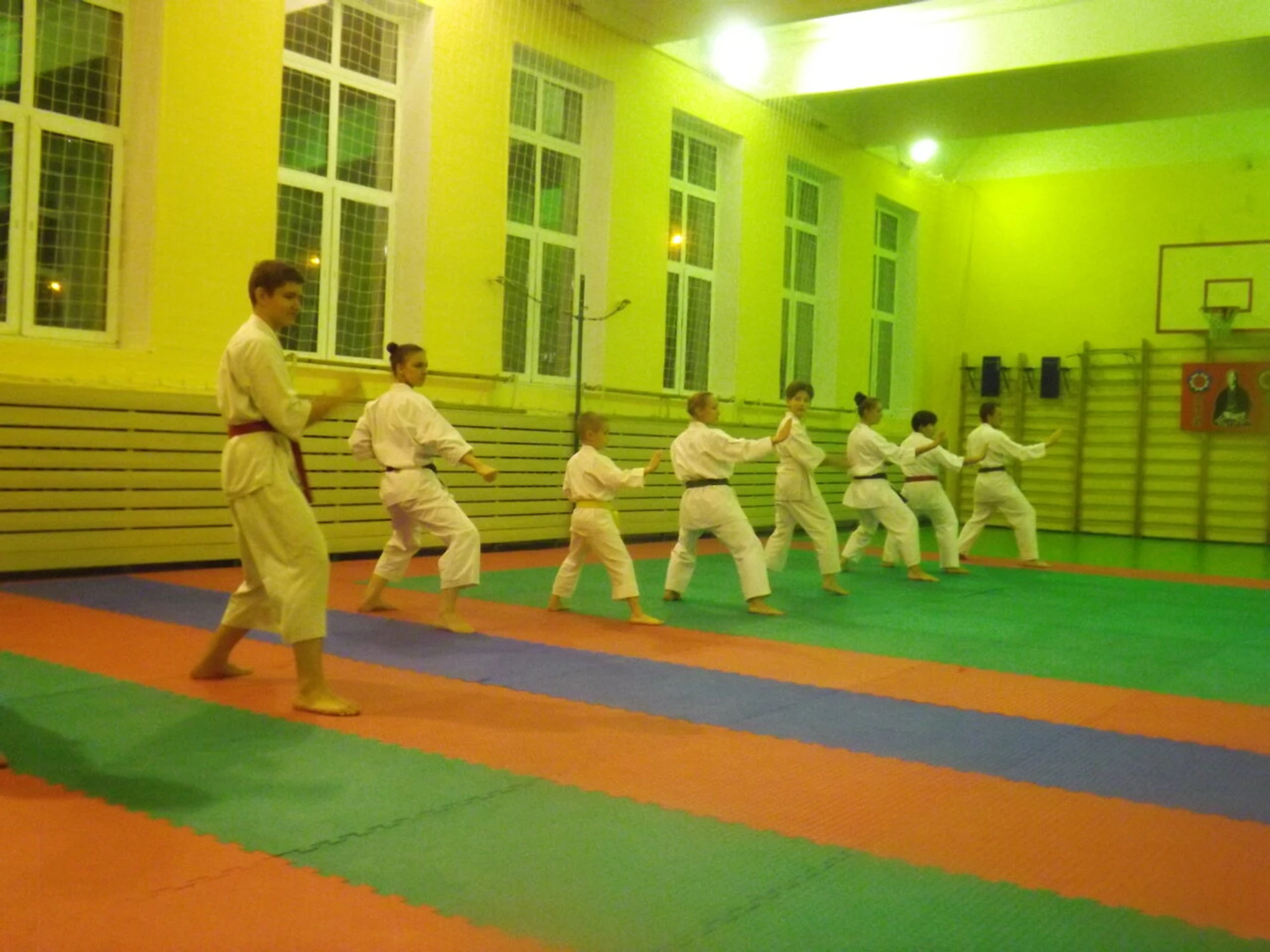 Сэнси-До (Спортивный клуб, секция )