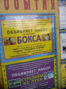 Федерация бокса Калининградской области (Спортивное объединение)