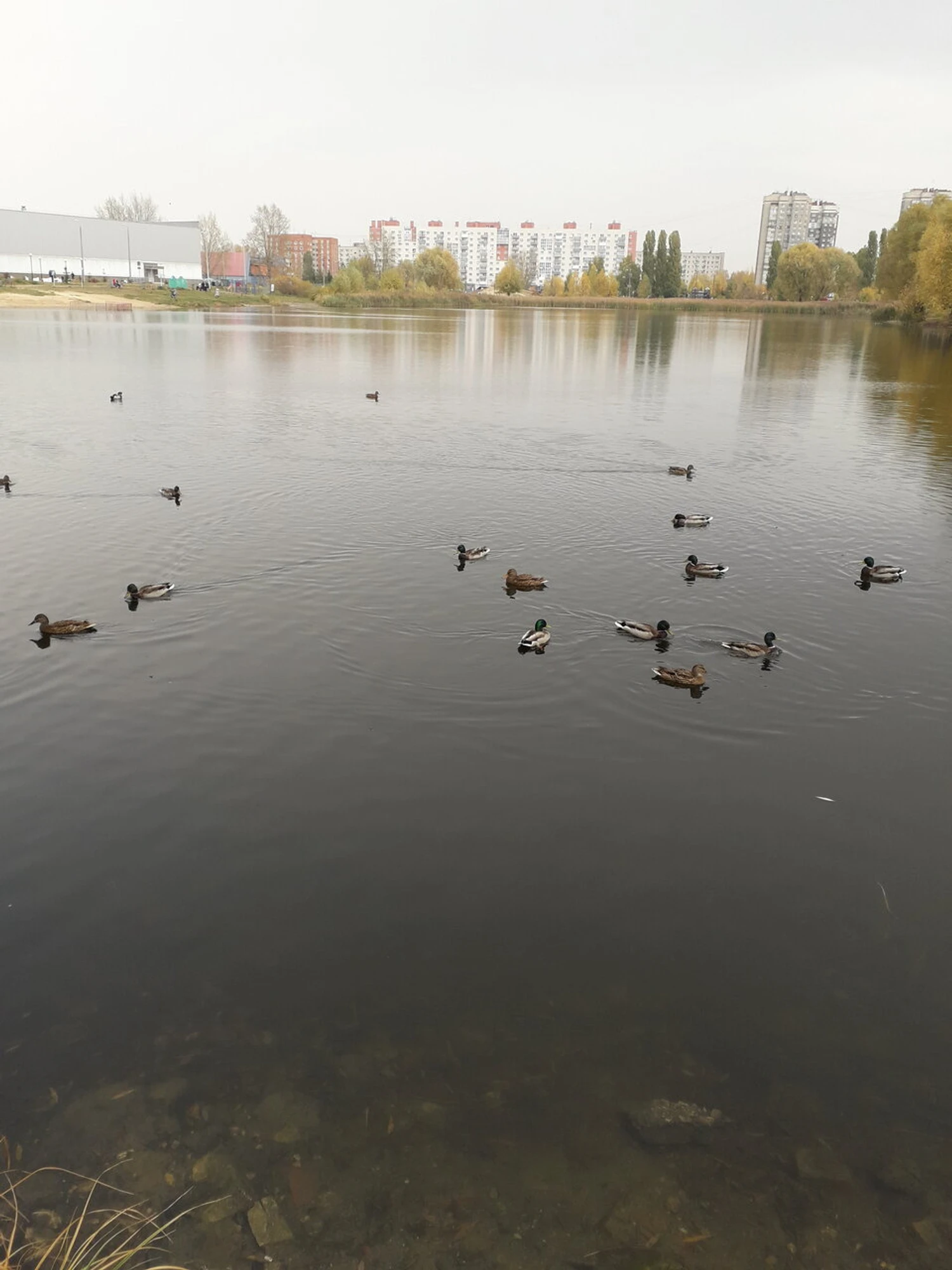 Пляж (Пляж)