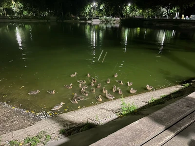 парк Утиные пруды (Парк культуры и отдыха )