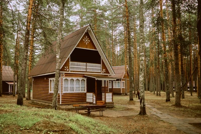 Нью-Ветлуга-парк. Семейные владения Бобылей (Турбаза)