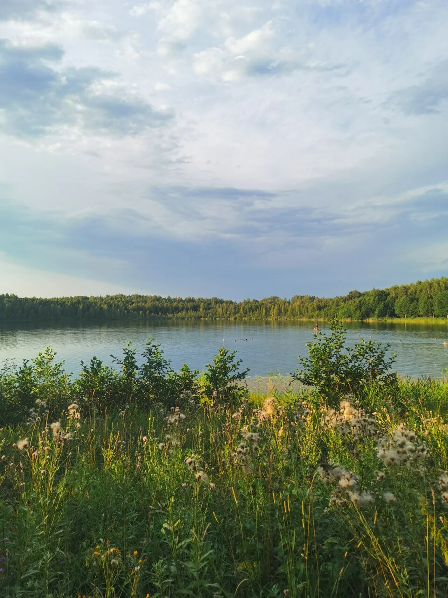 Пляж (Пляж)