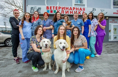 Vet-39 (Ветеринарная клиника )