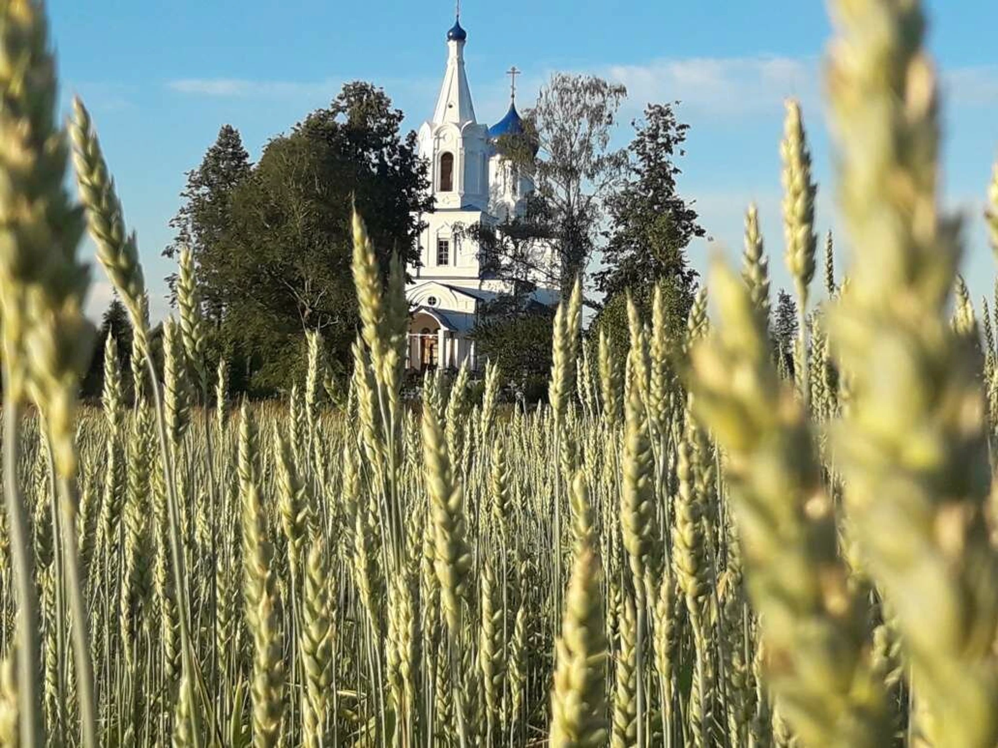 Церковь Казанской иконы Божией Матери (Православный храм)