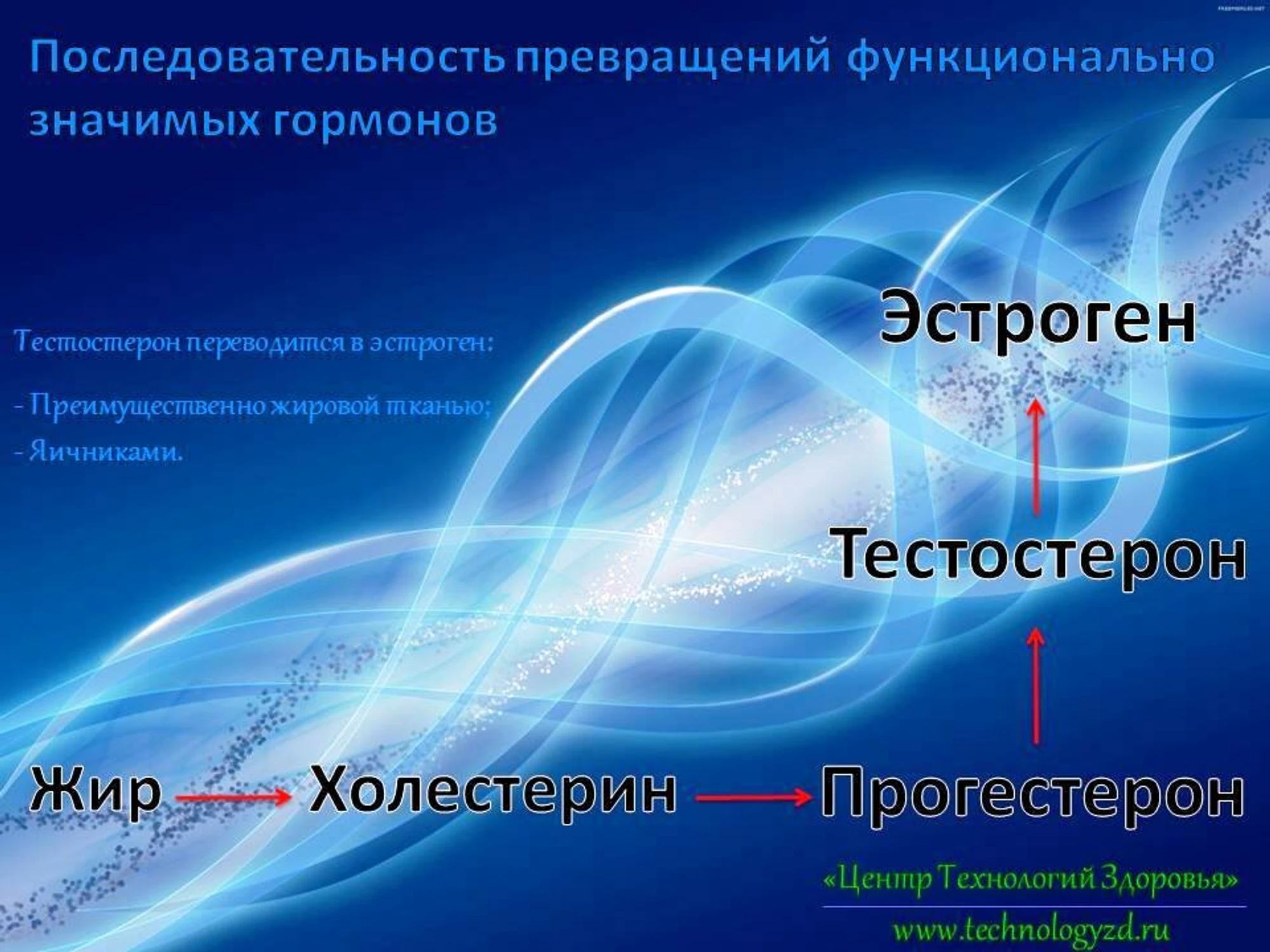 Центр Технологий Здоровья (Оздоровительный центр)