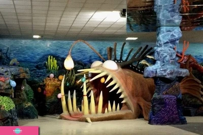 Discovery Ocean, океанариум, Казань 