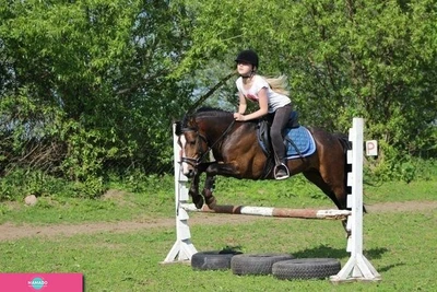 "Татерсаль", конный клуб, занятия верховой ездой, Калининградская область 