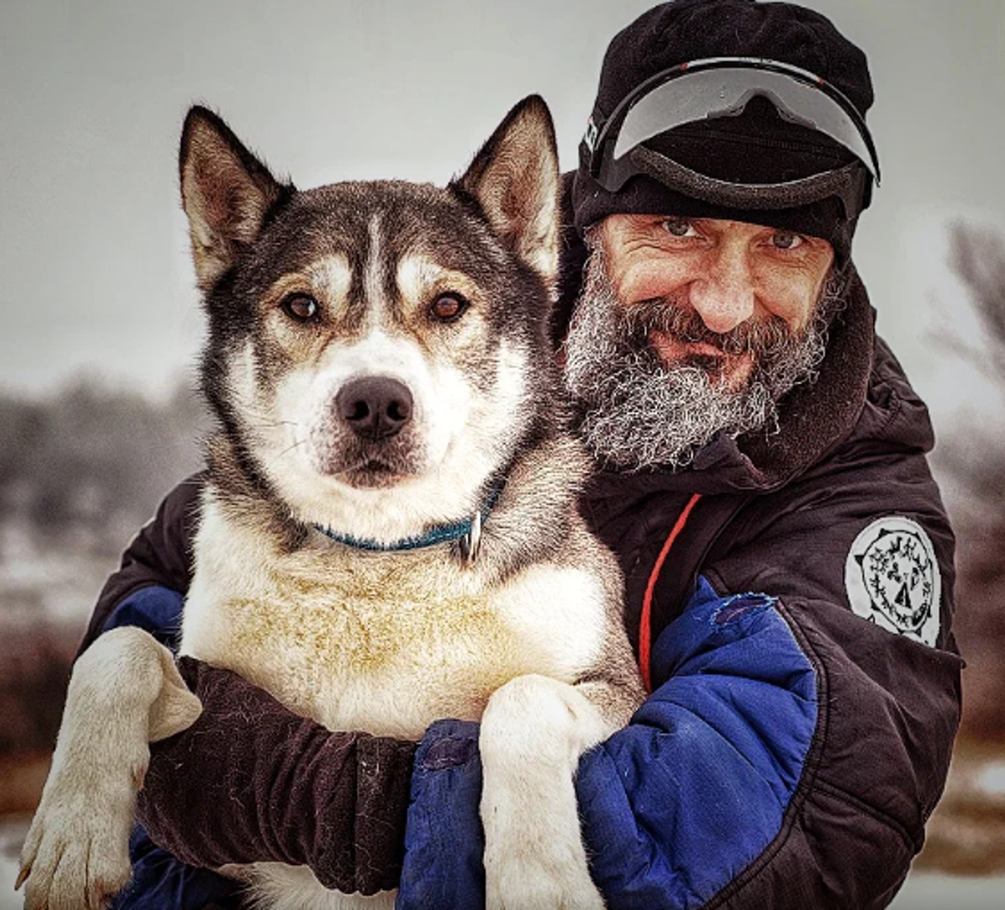 катание на хаски DogWinter