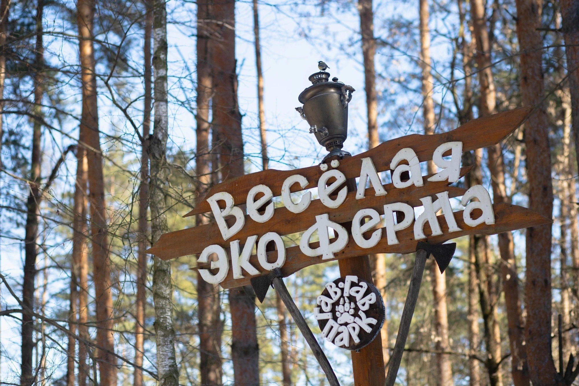 "Веселая эко-ферма", зоо-аттракцион в парке "Елочки" в Домодедово