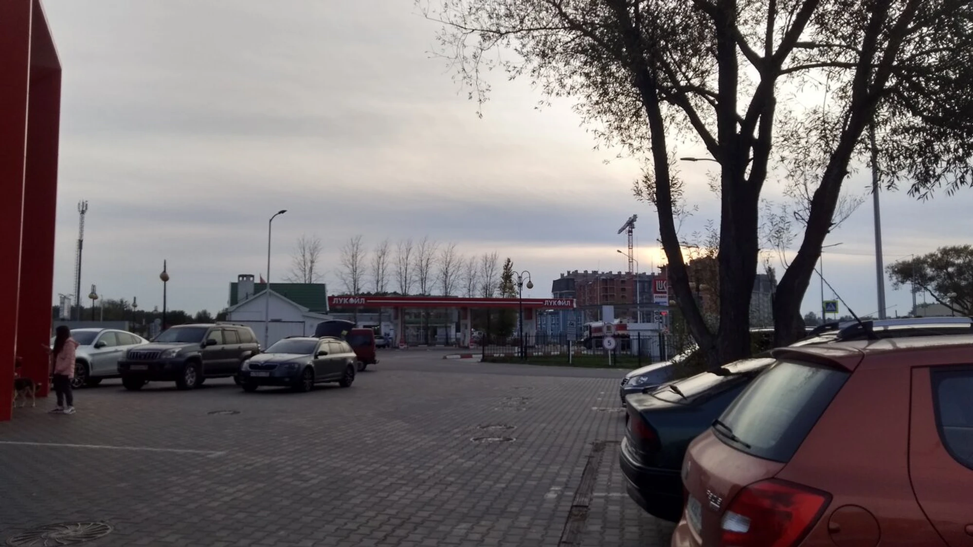 Konigsbacker (Кофейня )