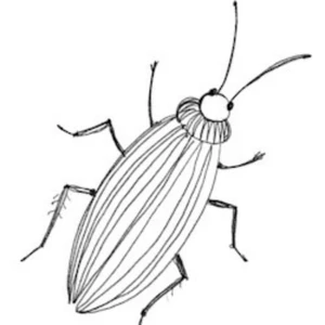 Тараканище – Премьера!