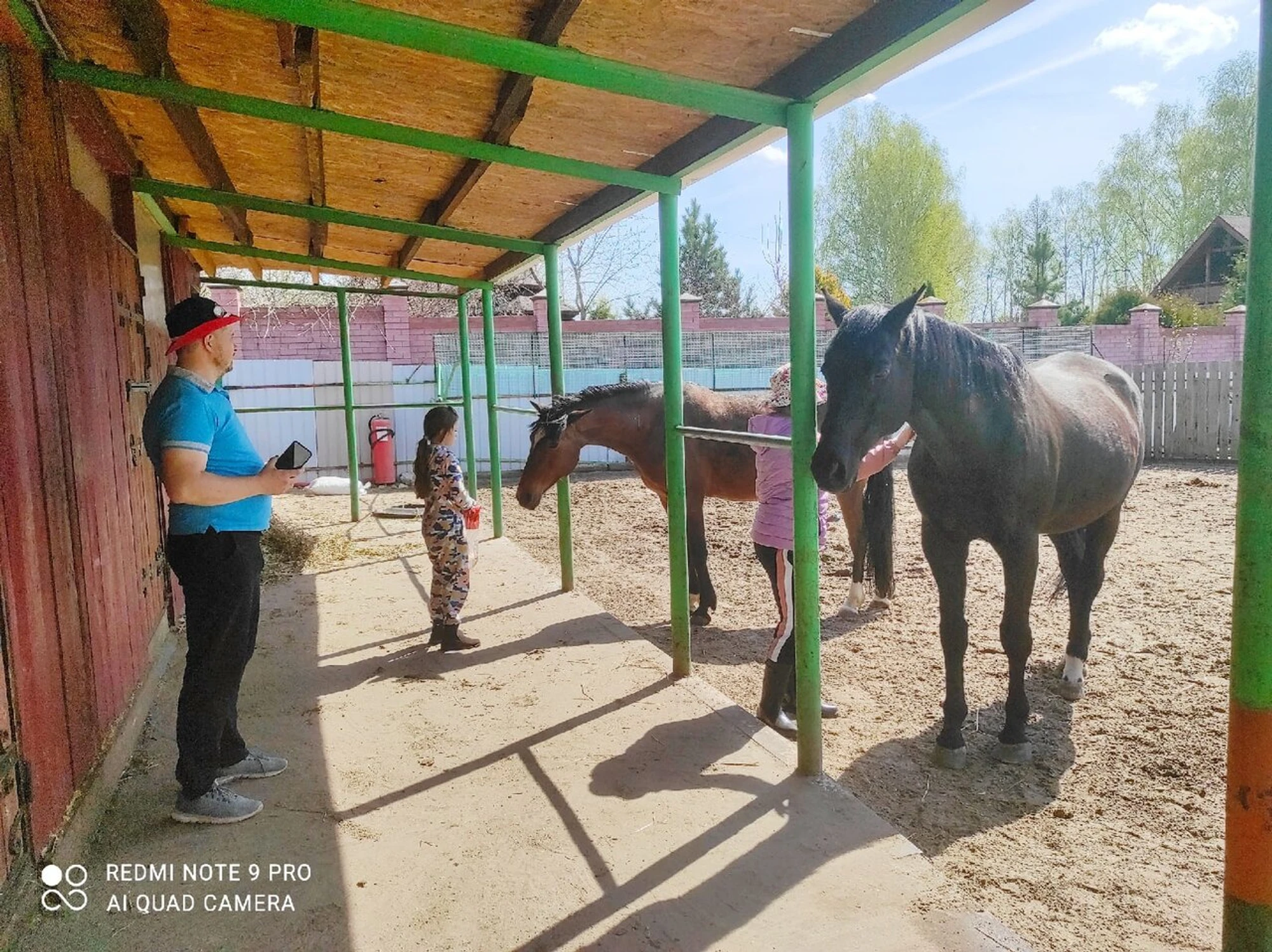 Darling Horse (Конный клуб)