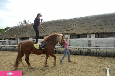 "Остапенко", конноспортивный клуб, иппотерапия, прокат лошадей, станица Елизаветинская, Краснодарский край 
