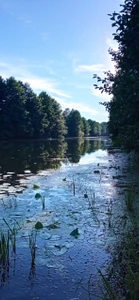 Пляж (Пляж)