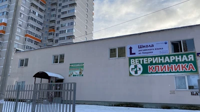 Школа Вильяма Рейли (Курсы иностранных языков )