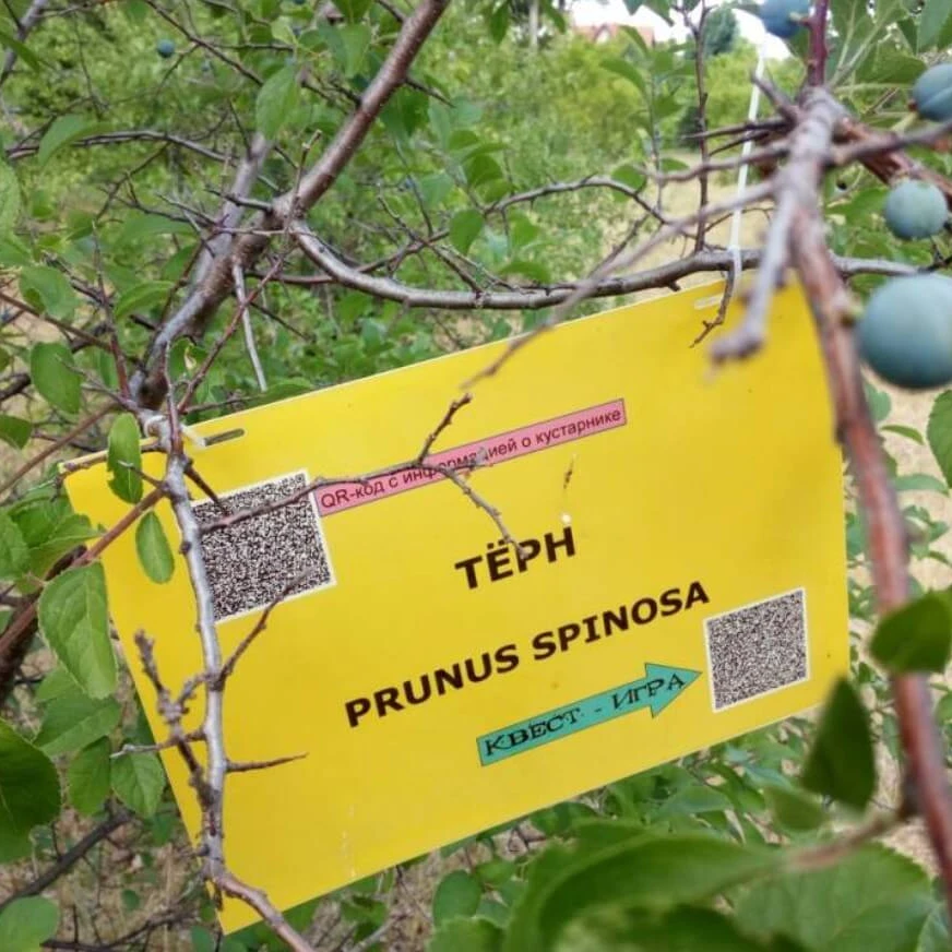 Дендропарк