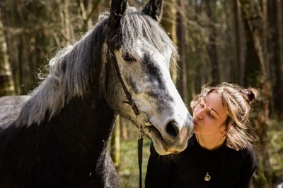 Художественная фотосессия с лошадьми конного клуба "Гвардия"
