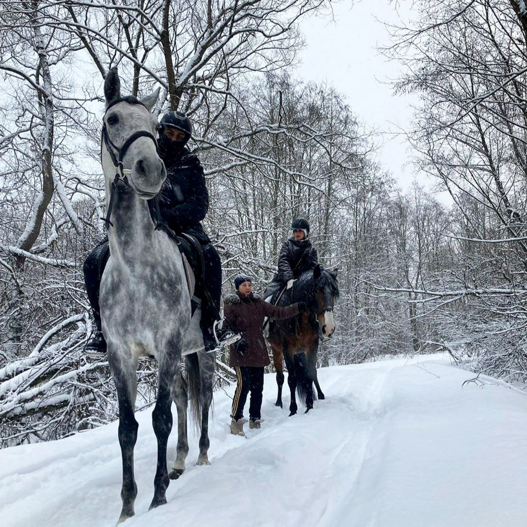 Сертификат на посещение парка "Хаски Лэнд" в Назарьево