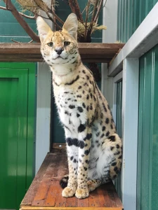 Дом природы (Зоопарк )